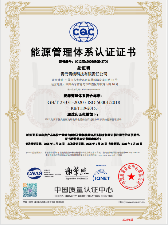 德赢VWIN顺利通过能源管理体系认证