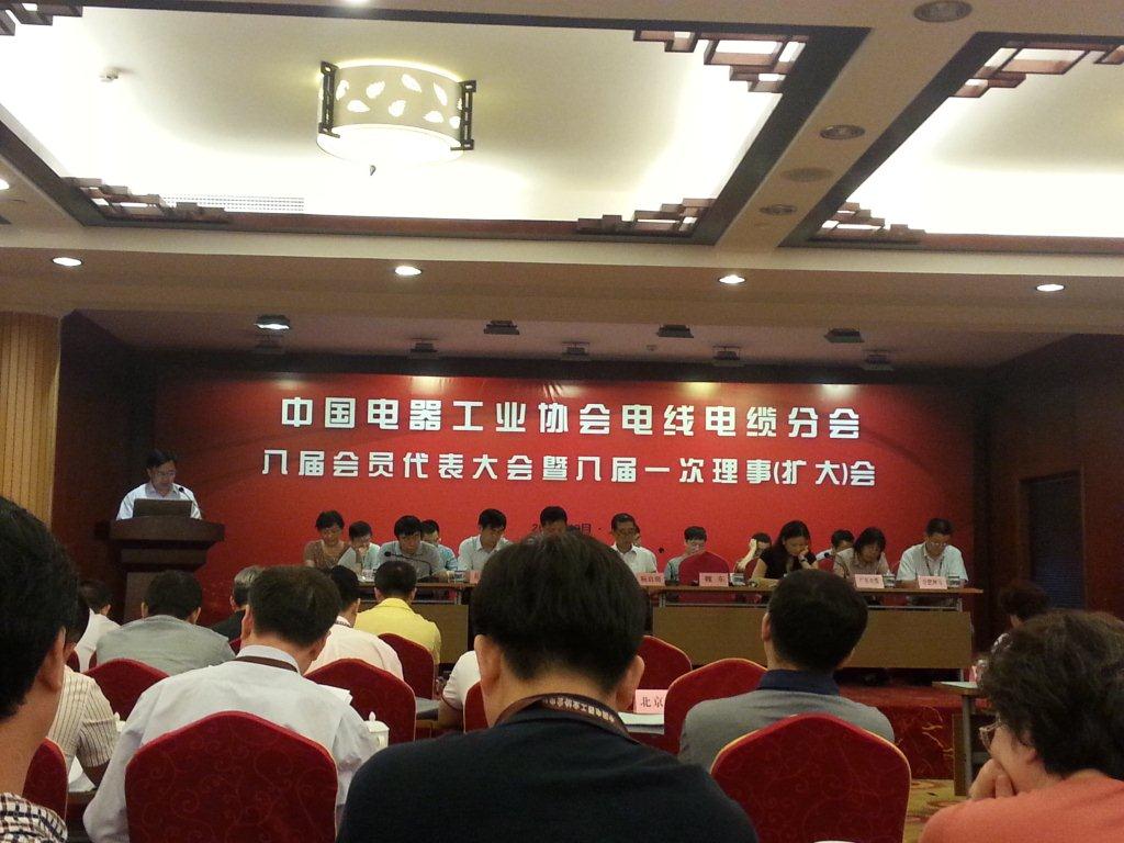 我公司被选为中国电器工业协会电线电缆分会理事单位(图1) 我公司被选为中国电器工业协会电线电缆分会理事单位(图1)