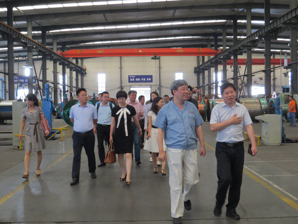 中国原子能科学研究院专家到德赢VWIN科技参观调研